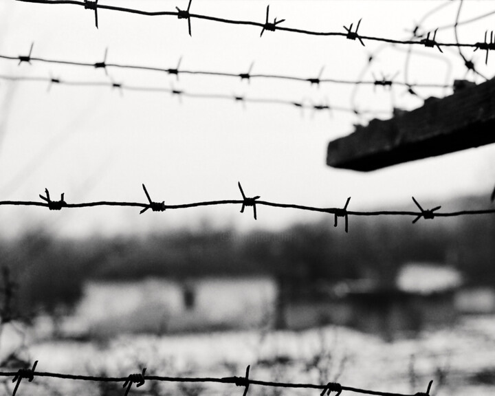 Photographie intitulée "Barbed Wirell" par Goian, Œuvre d'art originale, Photographie numérique