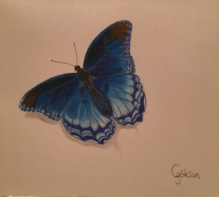 Dessin intitulée "Butterfly" par Goksun Cilingir, Œuvre d'art originale, Fusain