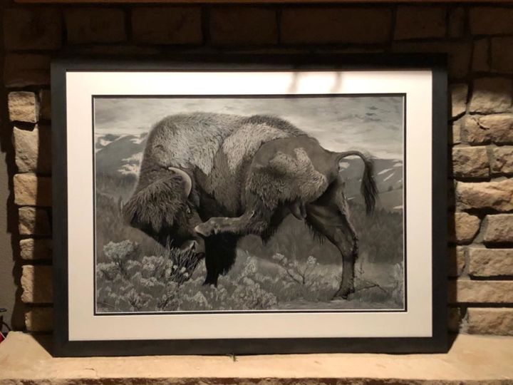 Disegno intitolato "American bison1" da Goldis Amini, Opera d'arte originale, Matita