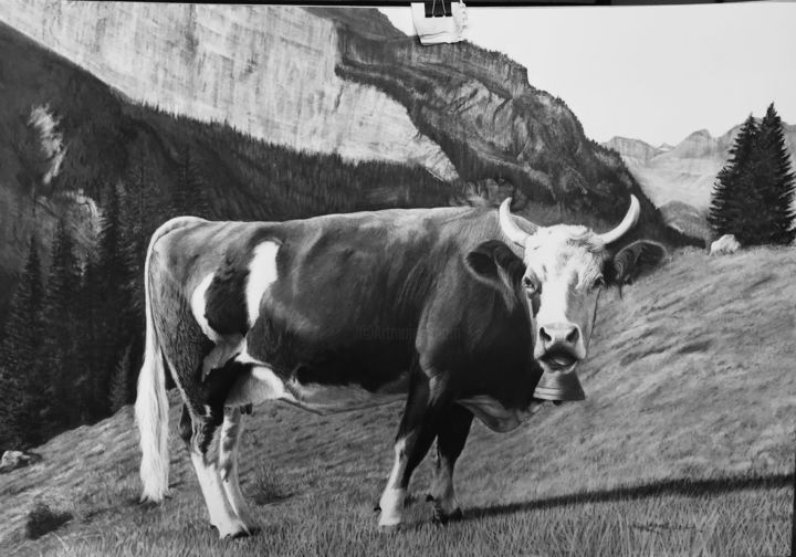 Drawing titled "Cow in a field" by Goldis Amini, Original Artwork, Pencil