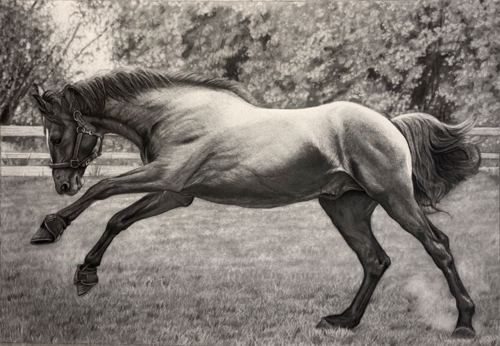 Drawing titled "🐎" by Goldis Amini, Original Artwork, Pencil