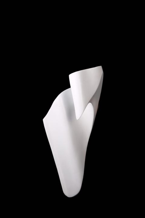 Escultura intitulada "from Inside Invisib…" por Golnar Ghasimi, Obras de arte originais, Plástico