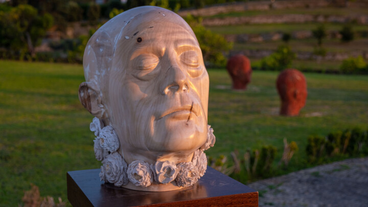 Sculpture titled "onairda" by Gonçalo Martins, Original Artwork, Wood
