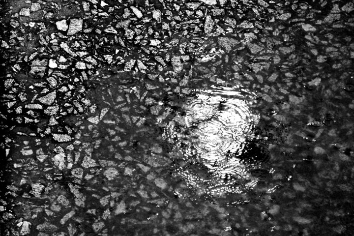 Fotografía titulada "RAIN 03" por Gonzalo Daino, Obra de arte original, Fotografía digital