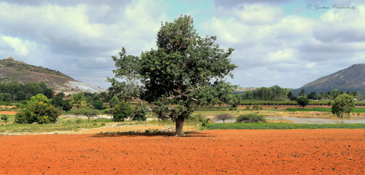 「Profile of a Tree!」というタイトルの写真撮影 Goutam Chakrabortyによって, オリジナルのアートワーク