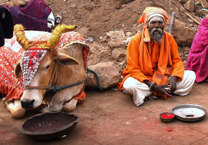 Photography titled "Two Mouths to Feed!" by Goutam Chakraborty, Original Artwork, Digital Photography