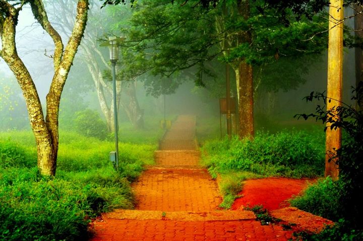 Photography titled "The Path" by Goutam Chakraborty, Original Artwork