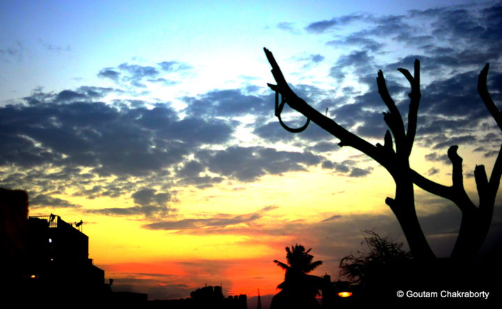 Photography titled "An Evening with Col…" by Goutam Chakraborty, Original Artwork