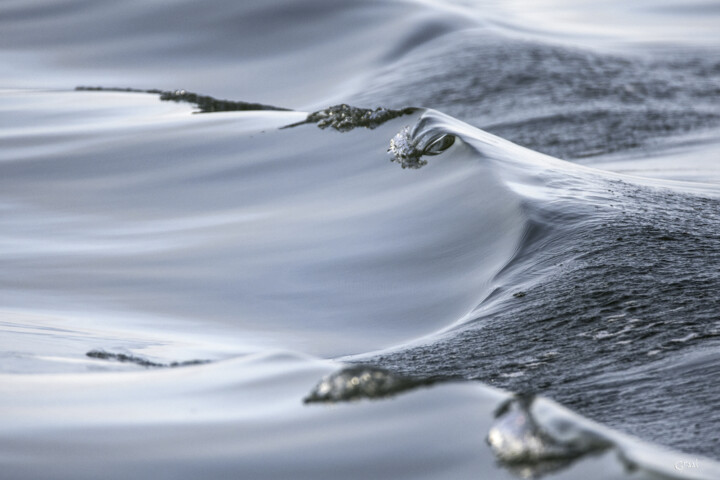 Fotografia intitulada "Élégante vague..." por Graal, Obras de arte originais, Fotografia digital