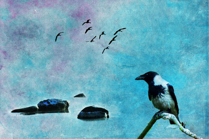 Arts numériques intitulée "Bird of Wisdom" par Randi Grace Nilsberg, Œuvre d'art originale, Photographie numérique