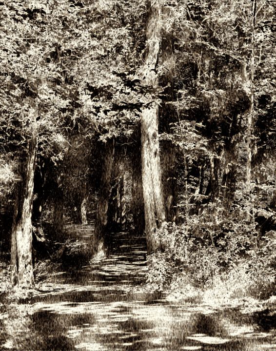 Arts numériques intitulée "Woodcut Forest" par Gracey, Œuvre d'art originale, Autre