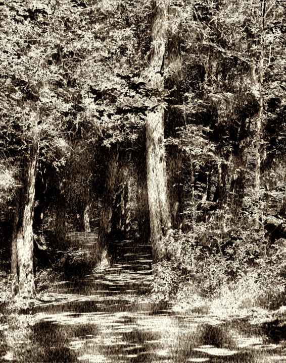 Digital Arts titled "Woodcut Forest" by Gracey, Original Art, Other