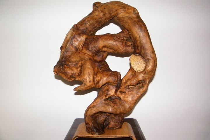 Sculpture titled "le-pied-a-l-etrier-…" by Gérard Amat, Original Artwork, Wood