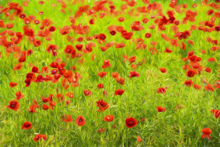 Fotografia zatytułowany „poppyflower-iv.jpg” autorstwa Tamme Maurer, Oryginalna praca