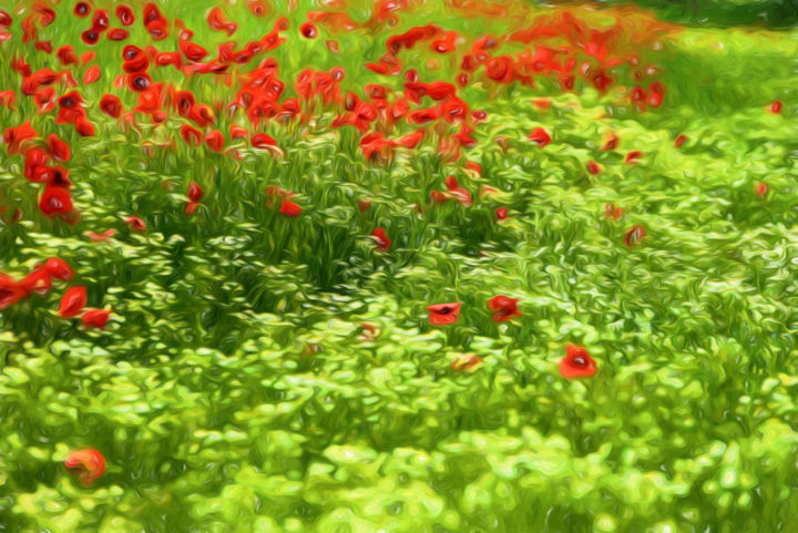 Fotografie mit dem Titel "poppyflower-v.jpg" von Tamme Maurer, Original-Kunstwerk