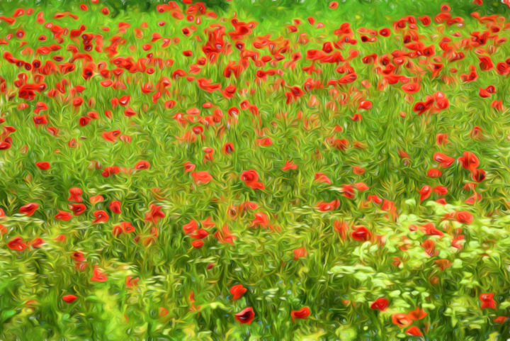 Fotografie mit dem Titel "poppyflower-vii.jpg" von Tamme Maurer, Original-Kunstwerk