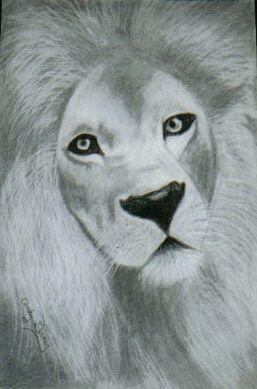 Tekening getiteld "Lion #1" door Cindy Gray, Origineel Kunstwerk, Anders