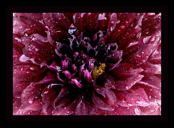 Fotografia intitolato "LA GELATINA" da Graziella Taibi, Opera d'arte originale, Fotografia non manipolata