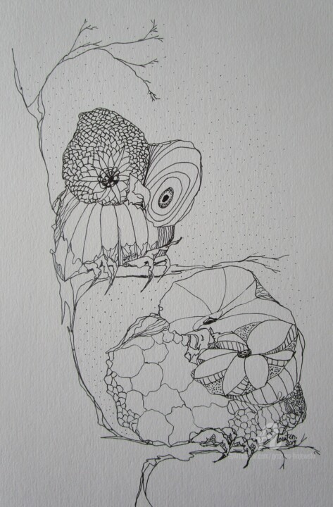 Disegno intitolato "owl story countess…" da Grazyna Hajewski, Opera d'arte originale, Inchiostro
