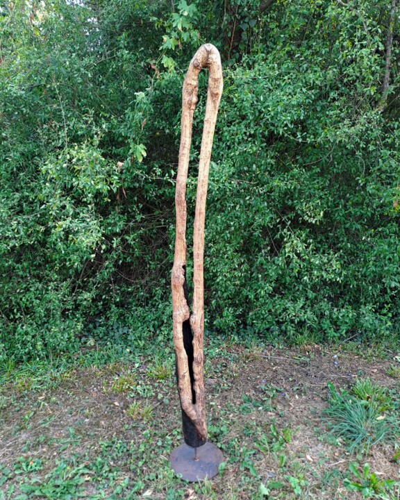 Скульптура под названием "Diapason" - Gregör Hosjan, Подлинное произведение искусства, Дерево