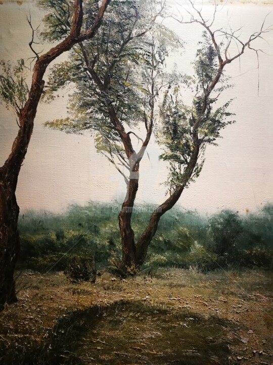 Painting titled "THE ROZTOCZE TREE" by Gregory King (Grzegorz Król), Original Artwork, Oil