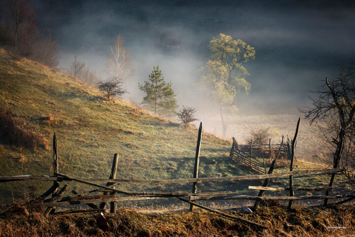 Photography titled "Morning" by Grigore Roibu, Original Artwork, Digital Photography