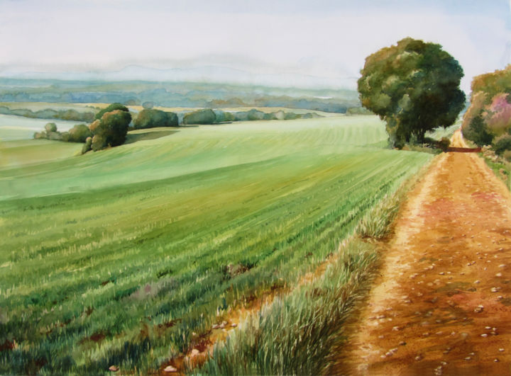 Painting titled "Paisaje Trigo.Verde…" by José Grimalt, Original Artwork, Watercolor