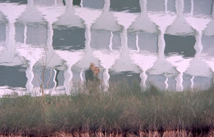 Peinture intitulée "reflet d'immeuble" par Gueda, Œuvre d'art originale, Huile