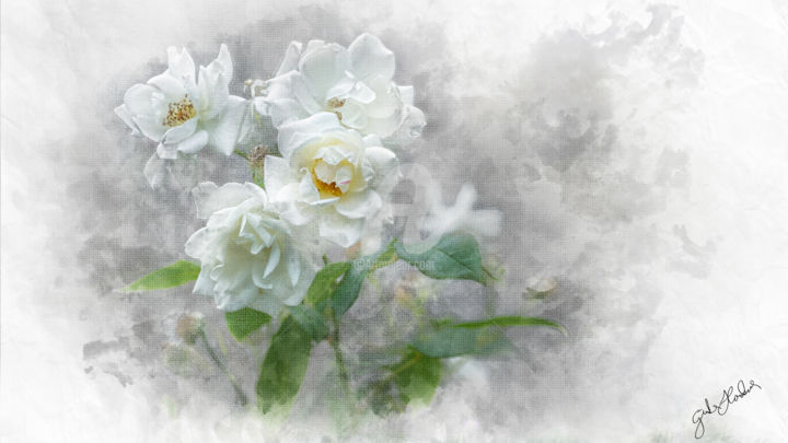 Digitale Kunst mit dem Titel "Weisse Rosen" von Günter Havlena, Original-Kunstwerk, Digitale Malerei