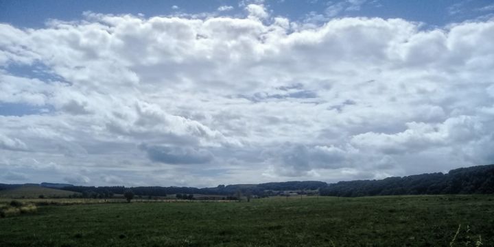 Photographie intitulée "Aubrac 3" par Guillaume Vincent, Œuvre d'art originale, Photographie numérique