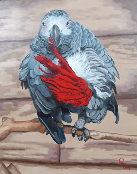 Schilderij getiteld "Perroquet au rouge…" door Guillaume Caron-Maus, Origineel Kunstwerk, Olie