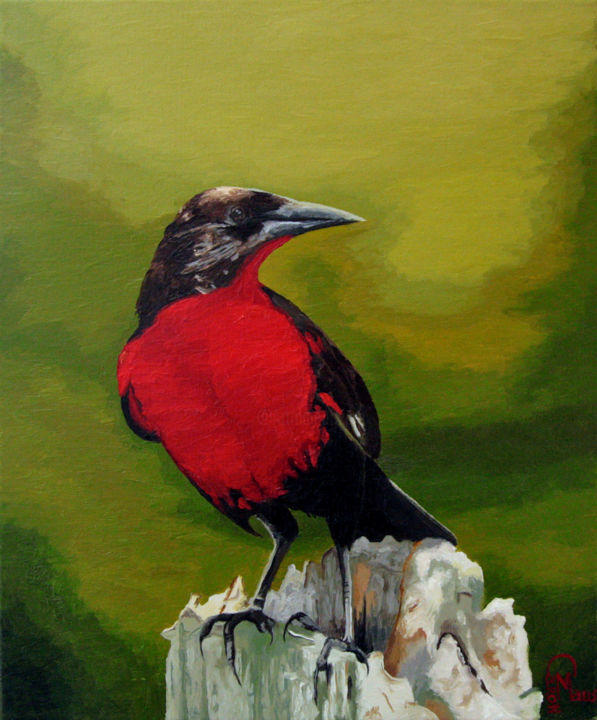 Painting titled "Plumage au rouge" by Guillaume Caron-Maus, Original Artwork, Oil