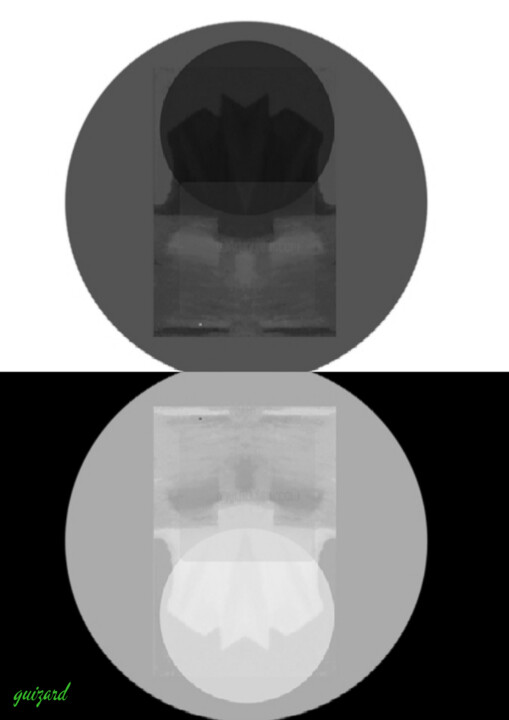 Grafika cyfrowa / sztuka generowana cyfrowo zatytułowany „Duality” autorstwa Guizard, Oryginalna praca, Malarstwo cyfrowe