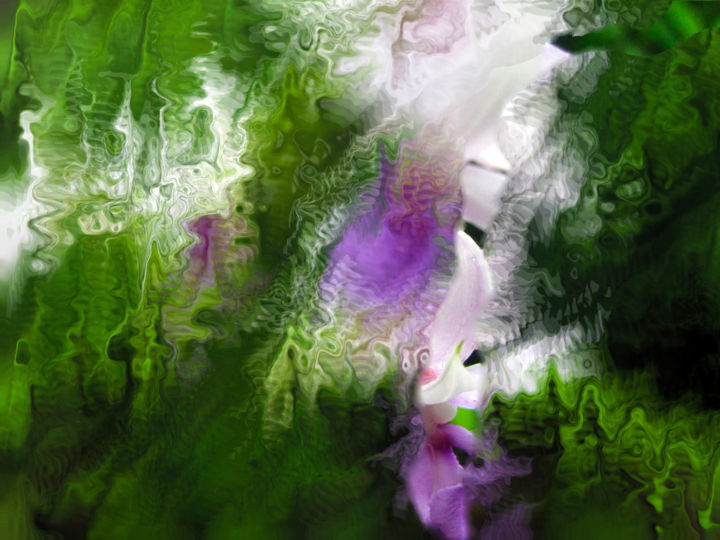Arts numériques intitulée "Orchidée" par Guy Zito, Œuvre d'art originale, Travail numérique 2D