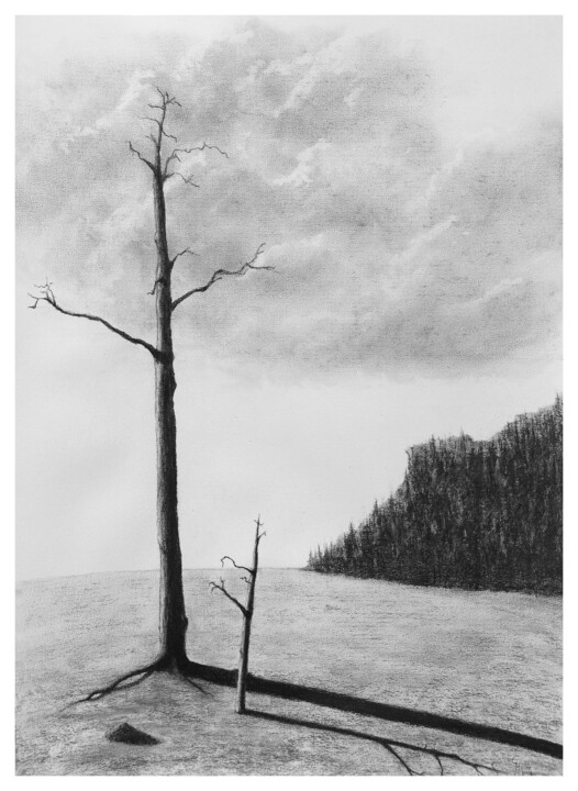 Rysunek zatytułowany „Dry season” autorstwa Guy Mijten, Oryginalna praca, Węgiel drzewny