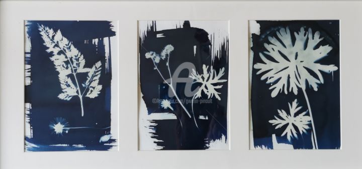 Photography titled "Cyanotype - Triptyq…" by Gwenn Pinault, Original Art, Non Manipulated Photography