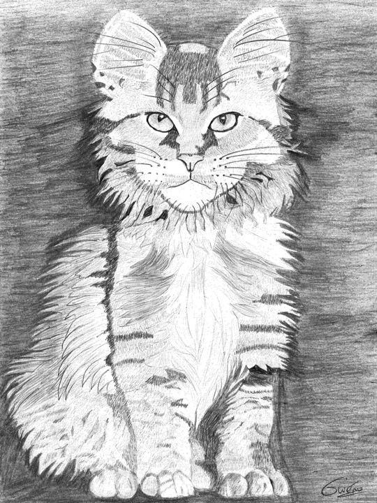 Chat De Caractere Drawing By Gwenolee Mahe Artmajeur