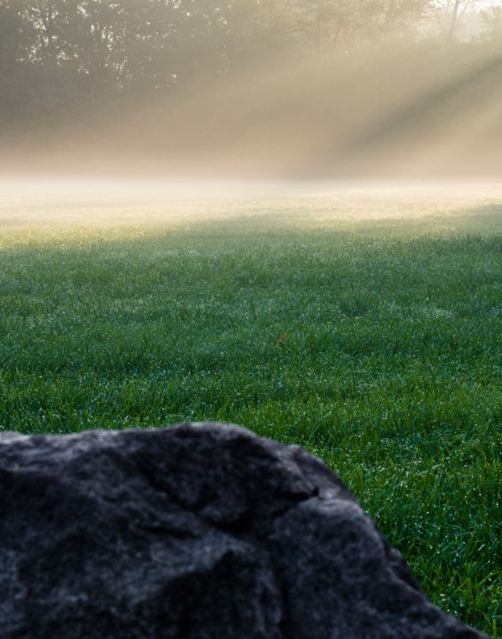 Fotografía titulada "The Clearing" por Gwendolyn Roth, Obra de arte original, Fotografía digital