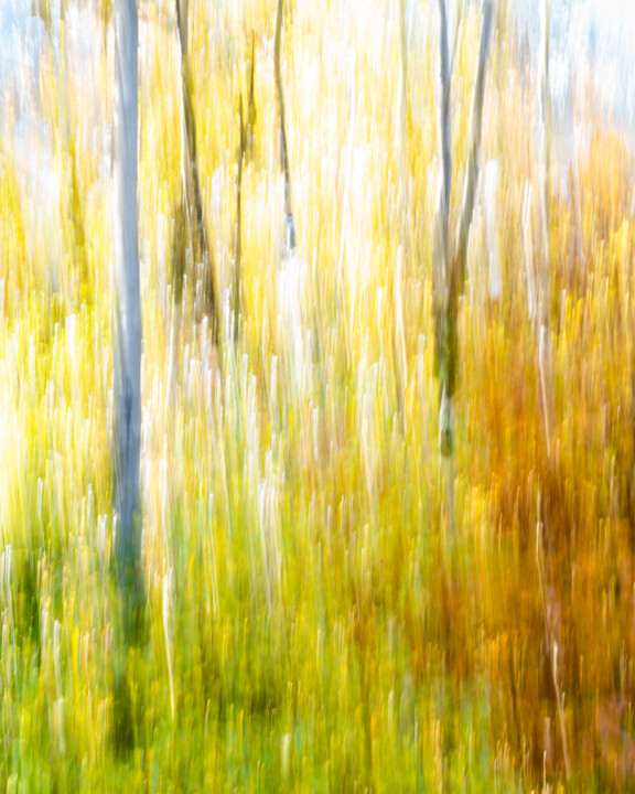 "Autumn Impression" başlıklı Fotoğraf Gwendolyn Roth tarafından, Orijinal sanat, Light Painting