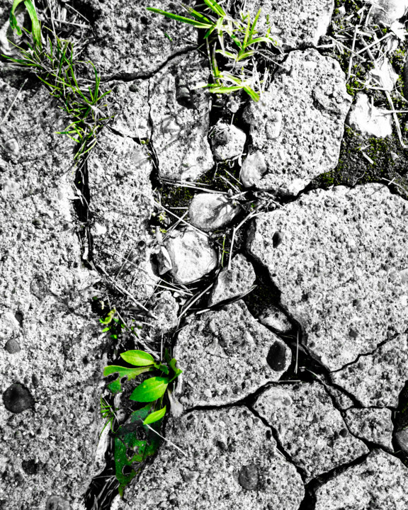 Photography titled "Cracked Up" by Gwendolyn Roth, Original Artwork, Digital Photography