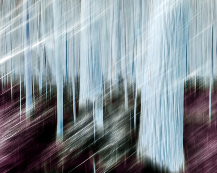 Photography titled "Wind Chill" by Gwendolyn Roth, Original Artwork, Digital Photography