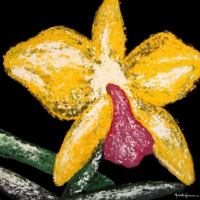 Peinture intitulée "Orquídea Amarela" par Herberth Gwimma, Œuvre d'art originale, Huile
