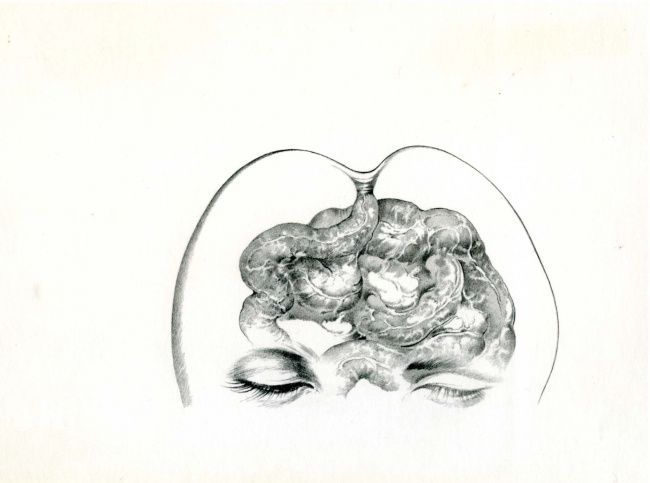 Drawing titled "Intestines ver.1" by Hidehiko Tamagawa, Original Artwork, Other