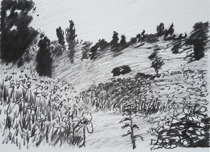 Dessin Paysage Imaginaire Au Fusain Fleurs Dessin Par Gyorgy Acs Artmajeur