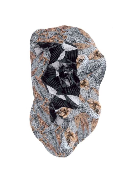 Estampas & grabados titulada "Empreinte fossile" por Gysin Broukwen, Obra de arte original, Impresión digital