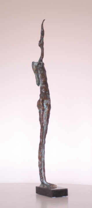 雕塑 标题为“Methamorphose” 由Gyunay Aliev, 原创艺术品, 青铜