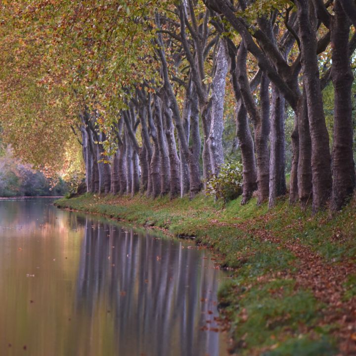 Fotografia intitulada "Palette d'automne" por Herve L (Achel), Obras de arte originais, Fotografia digital