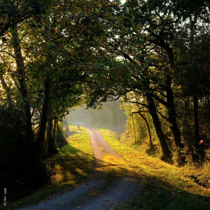 Fotografía titulada "Trouée de chemin" por Herve L (Achel), Obra de arte original, Fotografía digital