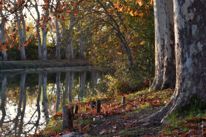 Photographie intitulée "Fin d'automne" par Herve L (Achel), Œuvre d'art originale, Photographie numérique