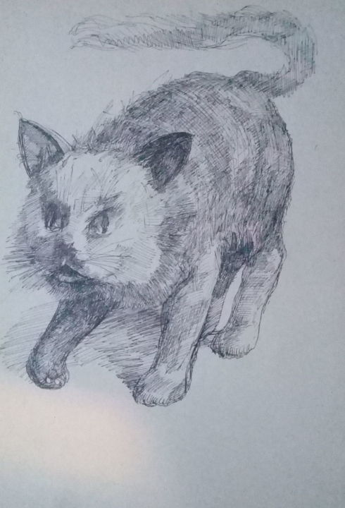 Desenho intitulada "Angry  cat" por Aleksandr Manucharyan, Obras de arte originais